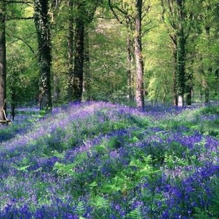 The Cider House Holiday Cottage Welsh Newton Common 外观 照片