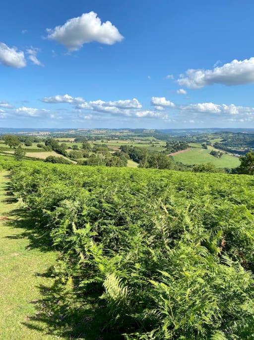 The Cider House Holiday Cottage Welsh Newton Common 外观 照片